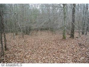 36 Pell Road Pilot Mountain, NC 27041 - Photo 13 of 14 Gallery Image 13