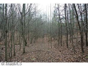 36 Pell Road Pilot Mountain, NC 27041 - Photo 7 of 14 Gallery Image 7
