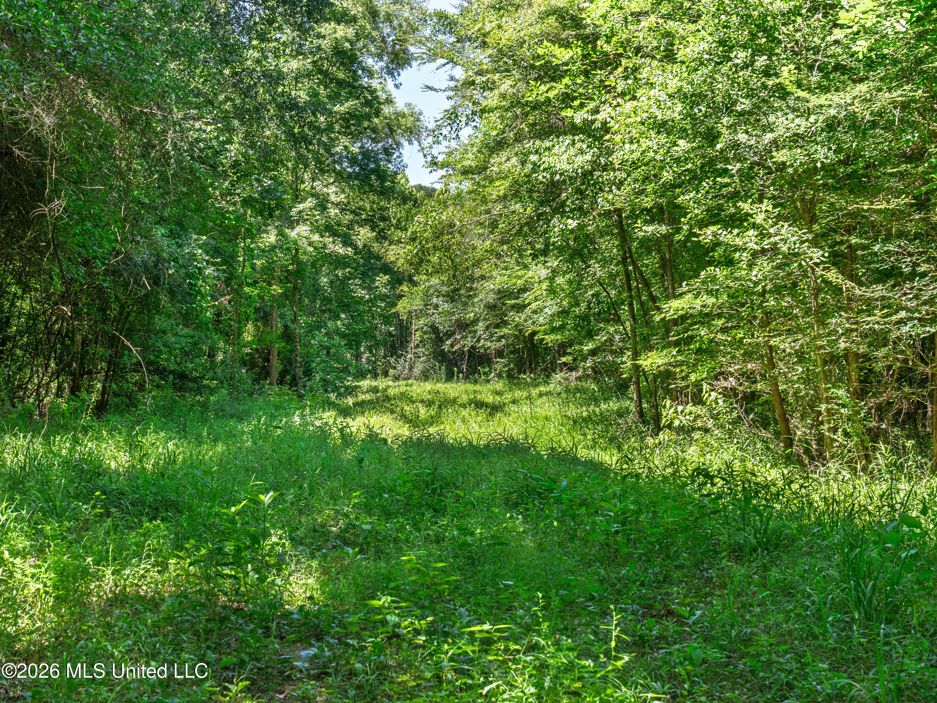 23 Co Road Bay Springs, MS 39422 - Photo 33 of 64 A7403787
