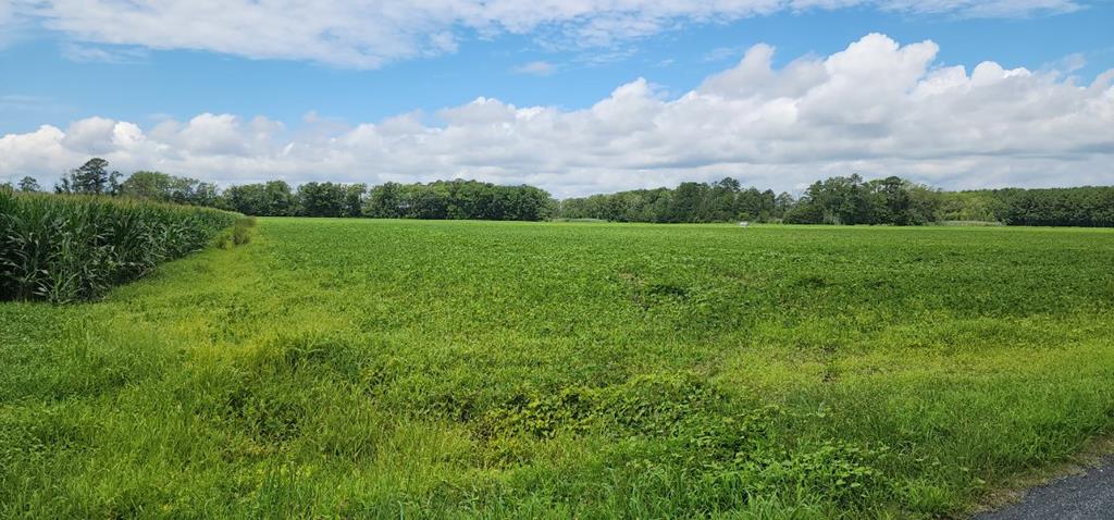 . Bullbeggar Road, Unit 21 Oak Hall, VA 23416 - Photo 1 of 6