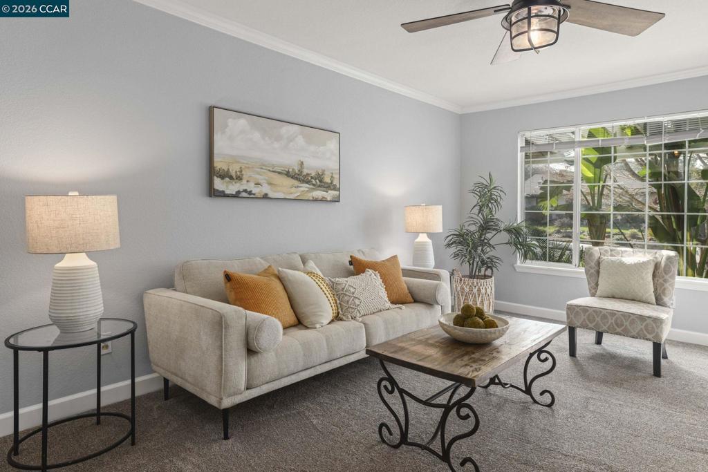 3613-3613 Longview Road Antioch, CA 94509 - Photo 8 of 30 a living room with furniture and a potted plant