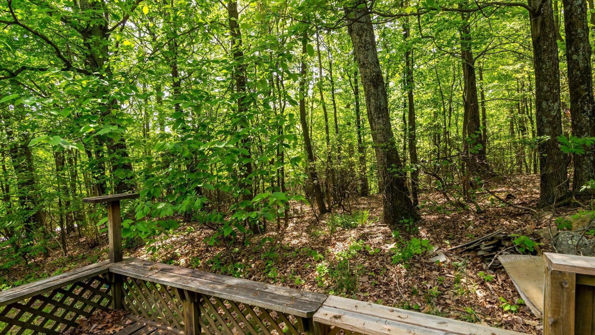 7755 Jeters Chapel Road Vinton, VA 24179 - Photo 4 of 26 woods