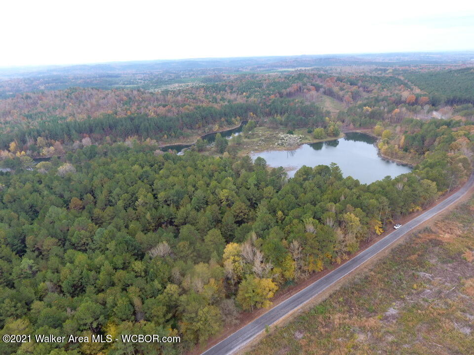 0 Homestead Road Eldridge, AL 35554 - Photo 3 of 8 Gallery Image 3