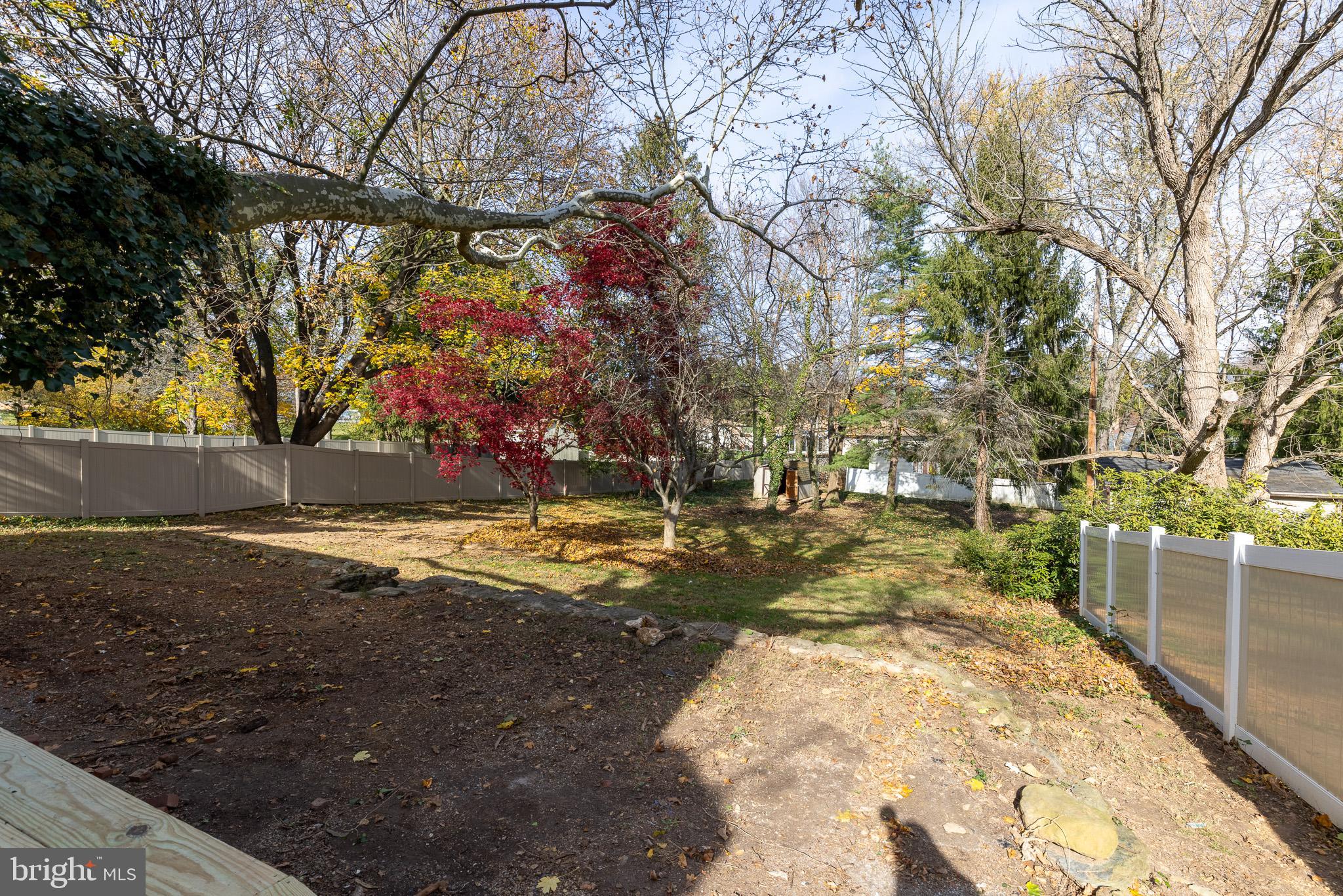 85 Homeland Road York, PA 17403 - Photo 25 of 26 a view of yard with tree