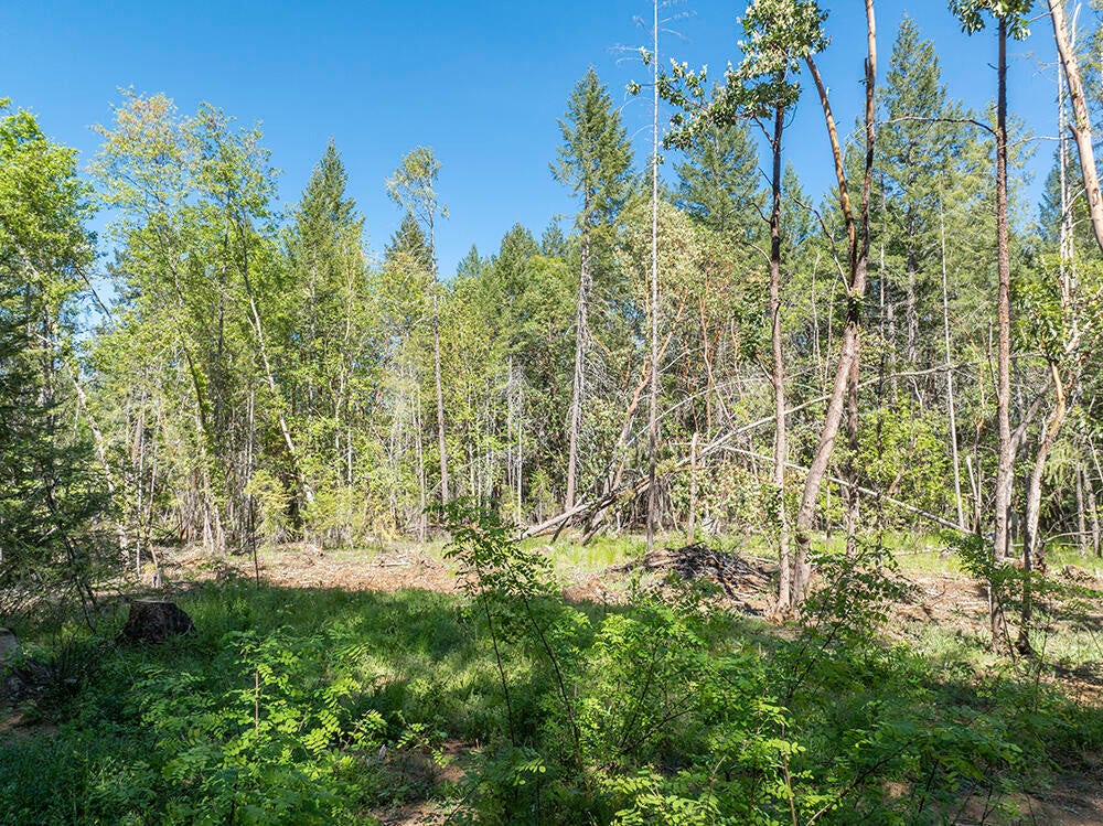382 Garner Road Cave Junction, OR 97523 - Photo 26 of 38 DJI_0037