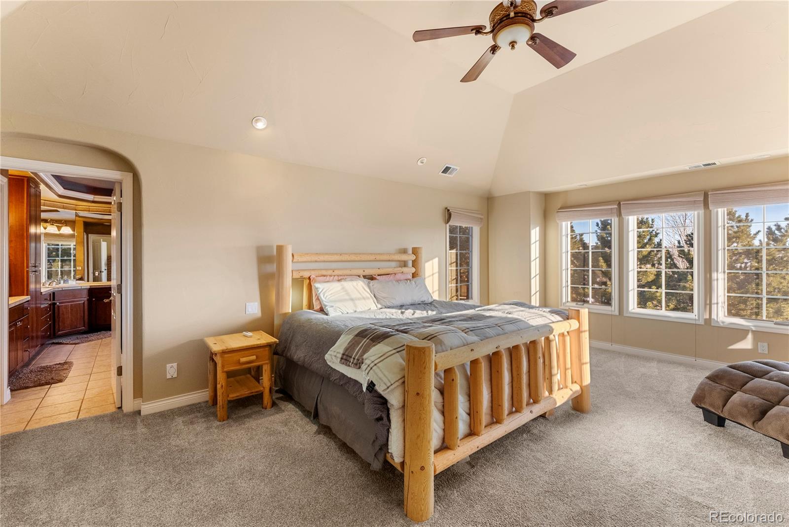 10237 Dowling Way Highlands Ranch, CO 80126 - Photo 16 of 31 Gallery Image 16