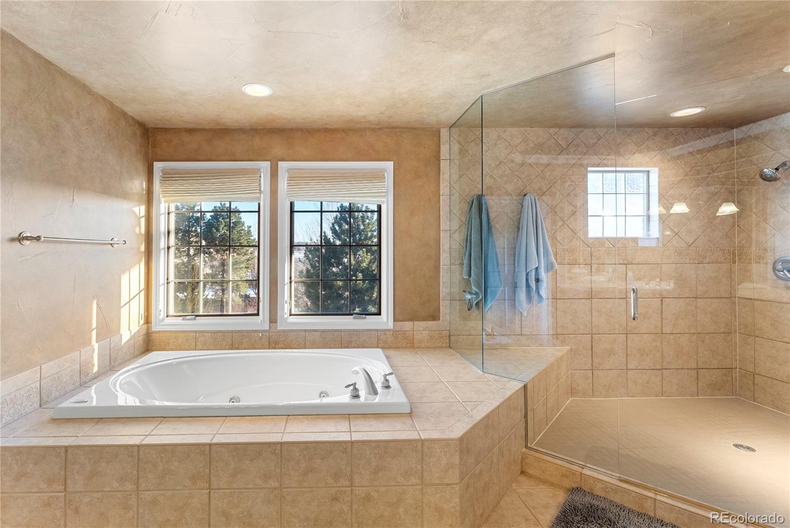 10237 Dowling Way Highlands Ranch, CO 80126 - Photo 17 of 31 Gallery Image 17