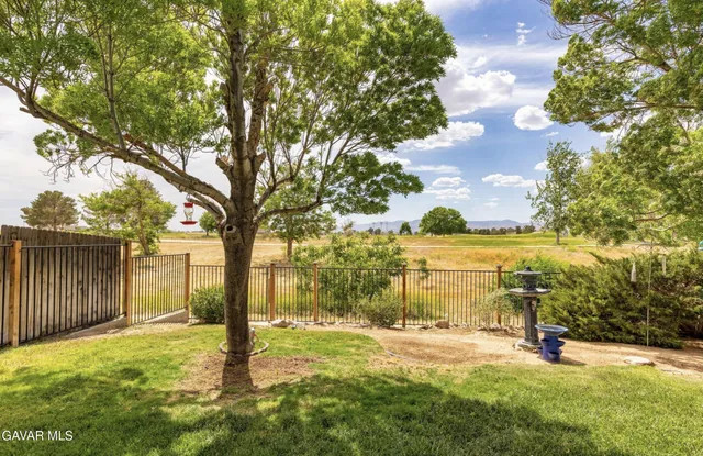 a view of a yard with an tree and wooden fence