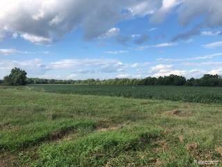 4500 West Marr Road Howell, MI 48855 - Photo 12 of 57 IMG_9403 - Copy.jpg