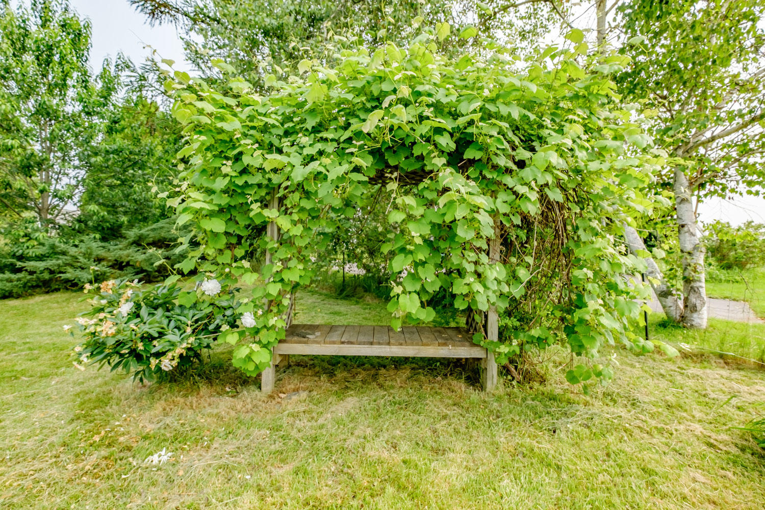 199 Spurwink Road Scarborough, ME 04074 - Photo 64 of 91 20190710gp-60067