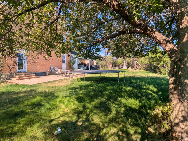 190 North 200 E Street Beaver, UT 84713 - Photo 5 of 40 Shaded yard view
