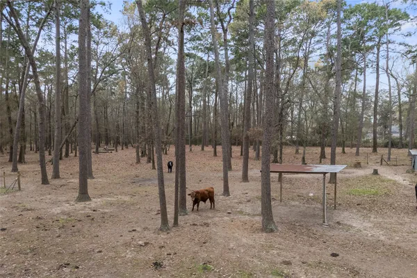 $780,000 | 31601 Huffman Cleveland Road, Huffman, TX 77336