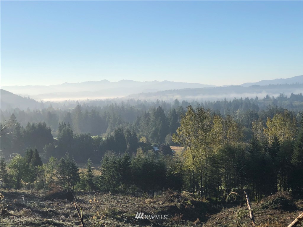 7 X Overmeyer Road Raymond, WA 98577 - Photo 1 of 4 Gallery Image 1