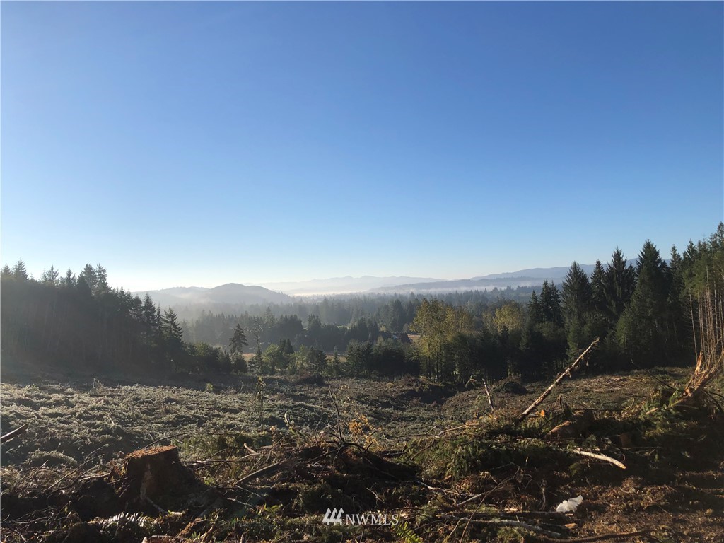 7 X Overmeyer Road Raymond, WA 98577 - Photo 2 of 4 Gallery Image 2