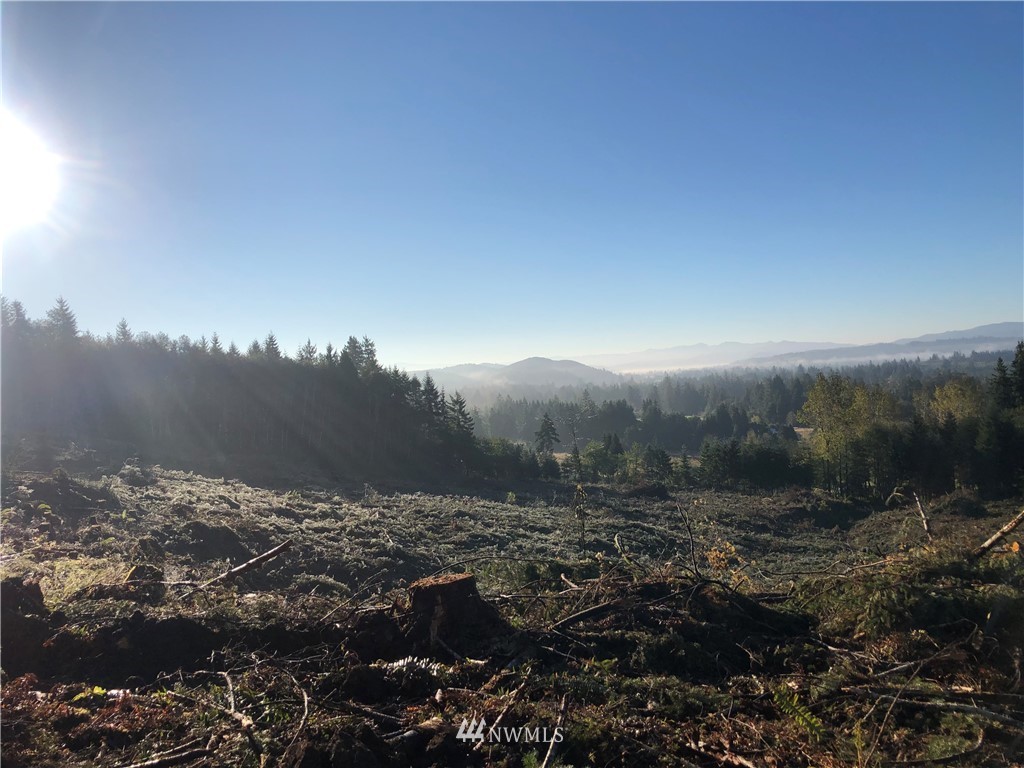7 X Overmeyer Road Raymond, WA 98577 - Photo 3 of 4 Gallery Image 3