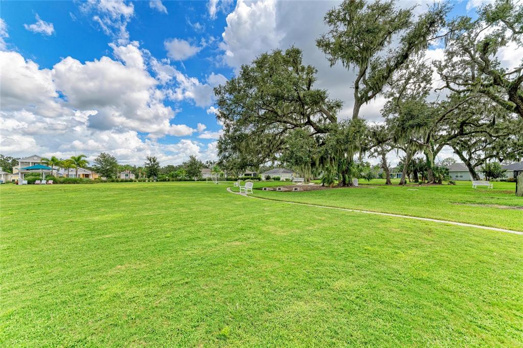 4211 Rustling Pines Terrace Parrish, FL 34219 - Photo 84 of 87 a view of a field with grass and trees