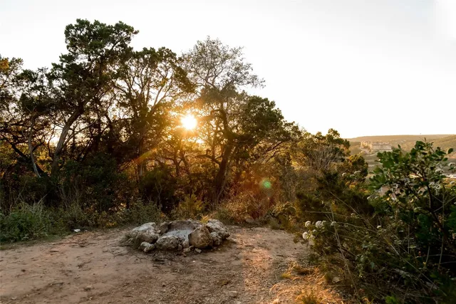 a backyard of a house with lots of trees