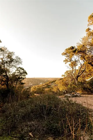 a view of an outdoor space with lots of trees