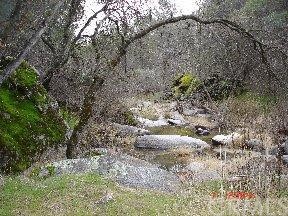 Hirsch - Unassigned Road Mariposa, CA 95338 - Photo 1 of 1 Gallery Image 1