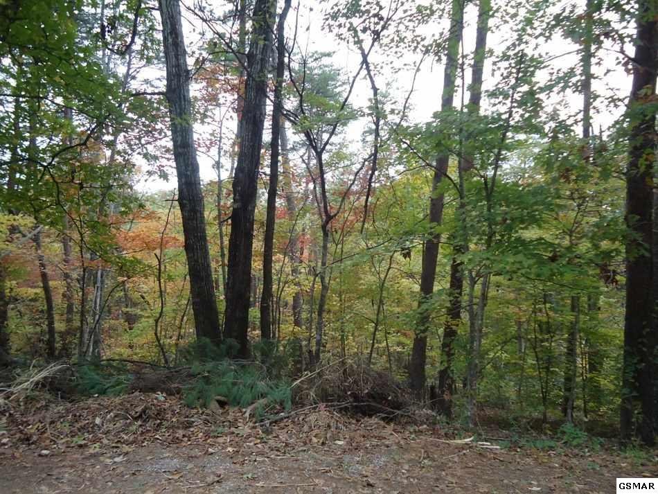 129 Nebo Mountain Road Walland, TN 37886 - Photo 3 of 6 Gallery Image 3