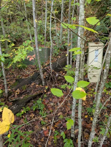 a view of a swimming pool with a yard and plants