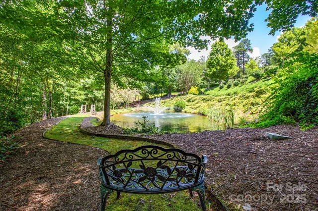 a view of a park with large trees