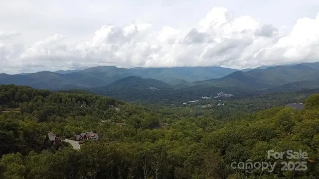 an aerial view of houses covered in trees