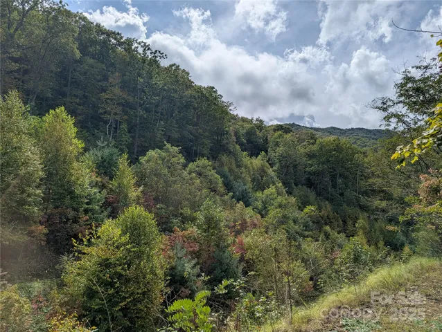 a view of a green yard