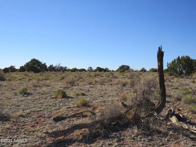 $64,900 | 2150 Red Butte Road, Williams, AZ 86046