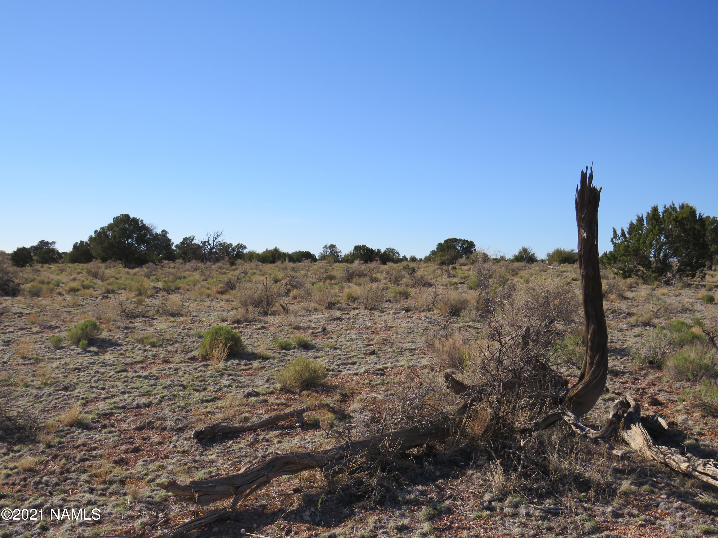 2150 Red Butte Road Williams, AZ 86046 - Photo 16 of 27 IMG_0840