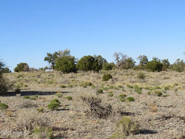 $64,900 | 2150 Red Butte Road, Williams, AZ 86046