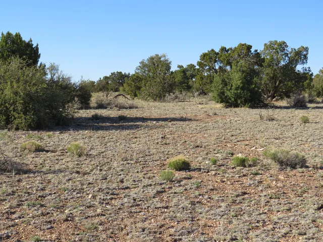 $64,900 | 2150 Red Butte Road, Williams, AZ 86046