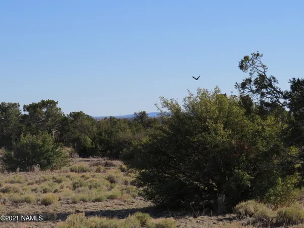 $64,900 | 2150 Red Butte Road, Williams, AZ 86046