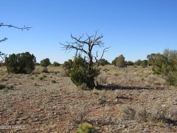 $64,900 | 2150 Red Butte Road, Williams, AZ 86046