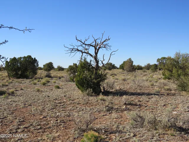 $64,900 | 2150 Red Butte Road, Williams, AZ 86046