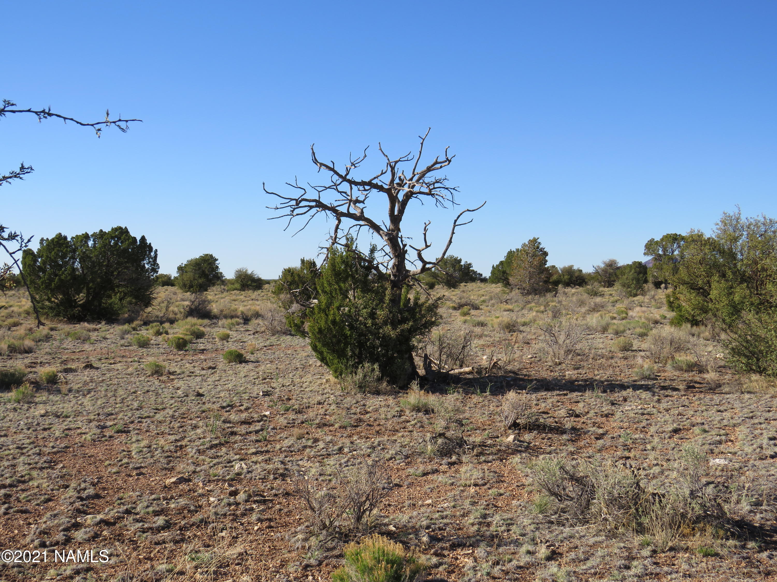 2150 Red Butte Road Williams, AZ 86046 - Photo 23 of 27 IMG_0852