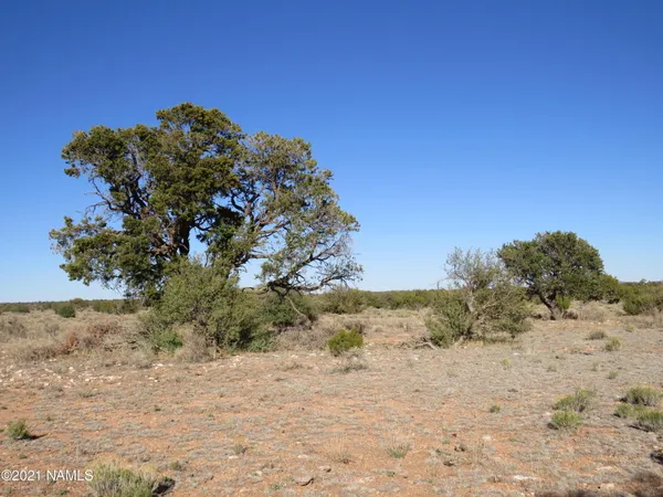 $64,900 | 2150 Red Butte Road, Williams, AZ 86046