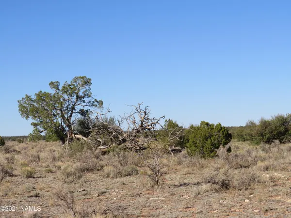 $64,900 | 2150 Red Butte Road, Williams, AZ 86046