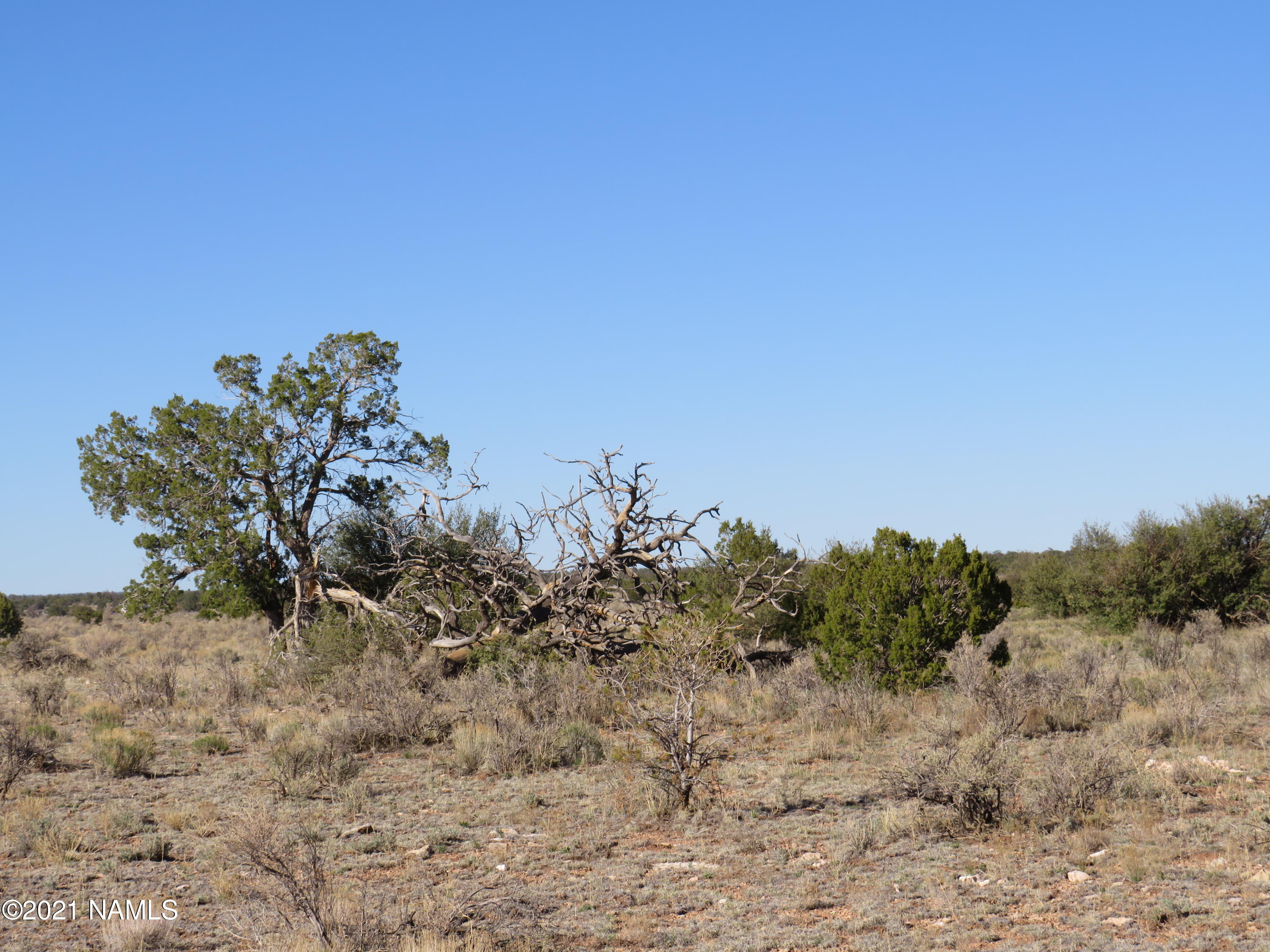 2150 Red Butte Road Williams, AZ 86046 - Photo 26 of 27 IMG_0855
