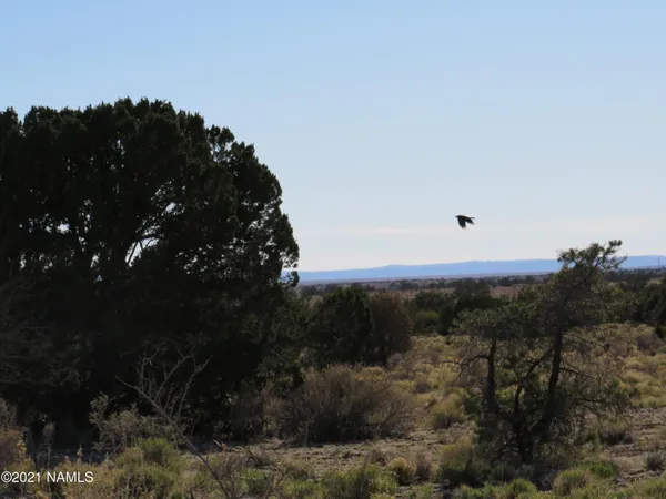 $64,900 | 2150 Red Butte Road, Williams, AZ 86046