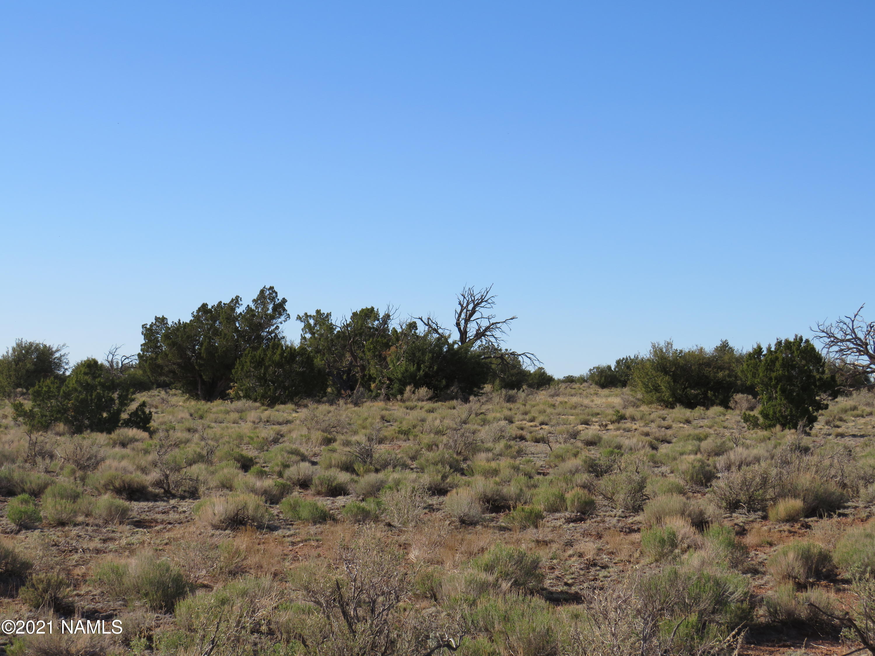 2150 Red Butte Road Williams, AZ 86046 - Photo 7 of 27 IMG_0842