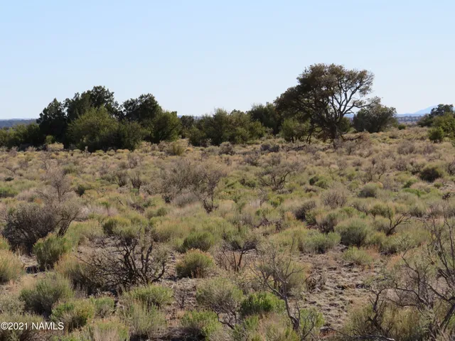 $64,900 | 2150 Red Butte Road, Williams, AZ 86046