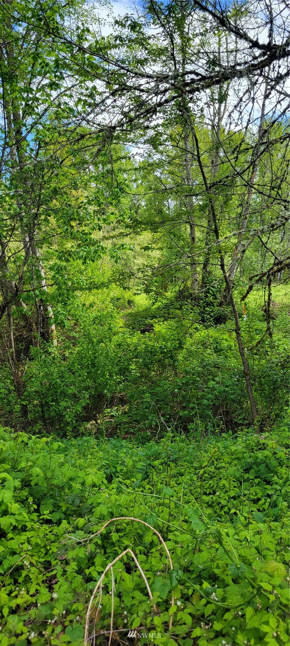 0 Norris Pitt Road Kalama, WA 98625 - Photo 2 of 4 Gallery Image 2