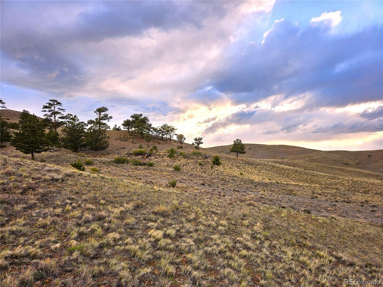 25427 Yuma Road Hartsel, CO 80449 - Photo 16 of 31