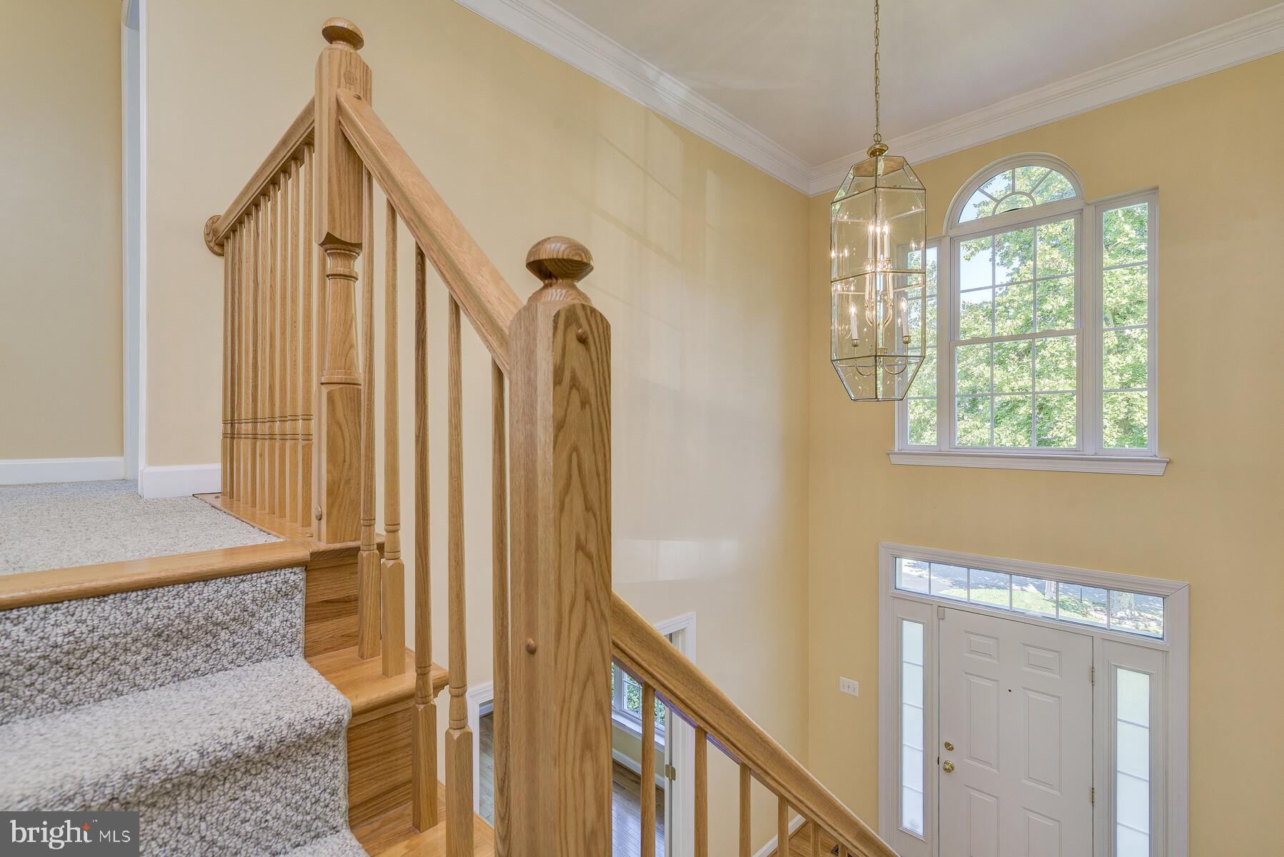 14405 Friendlywood Road Silver Spring, MD 20905 - Photo 37 of 79 Gallery Image 37