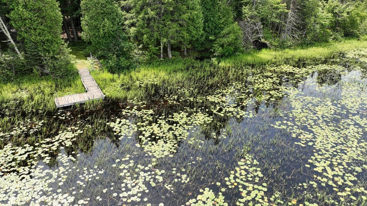 720 Staehling Road Three Lakes, WI 54562 - Photo 67 of 75