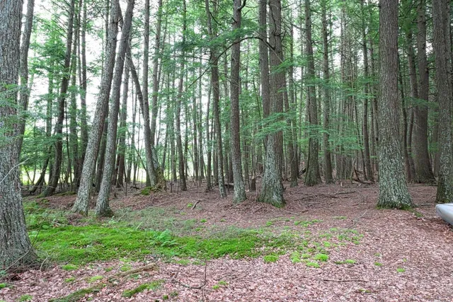 $999,000 | 720 Staehling Road, Three Lakes, WI 54562