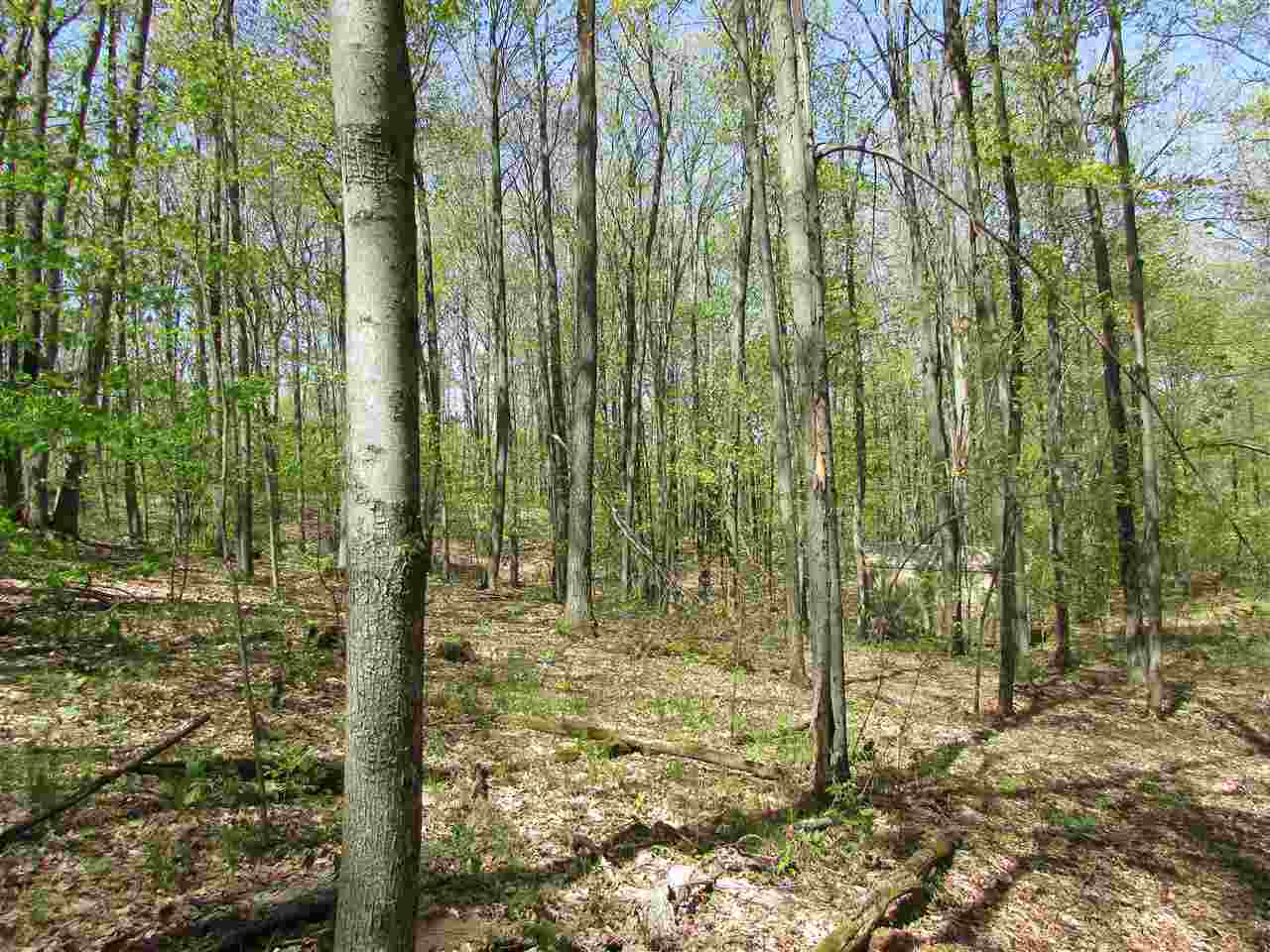 2 East Townline Lake Road Harrison, MI 48625 - Photo 11 of 13