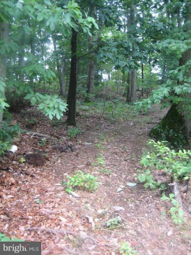 4525 Bill Moxley Road Mount Airy, MD 21771 - Photo 20 of 26 Wooded View / Acreage