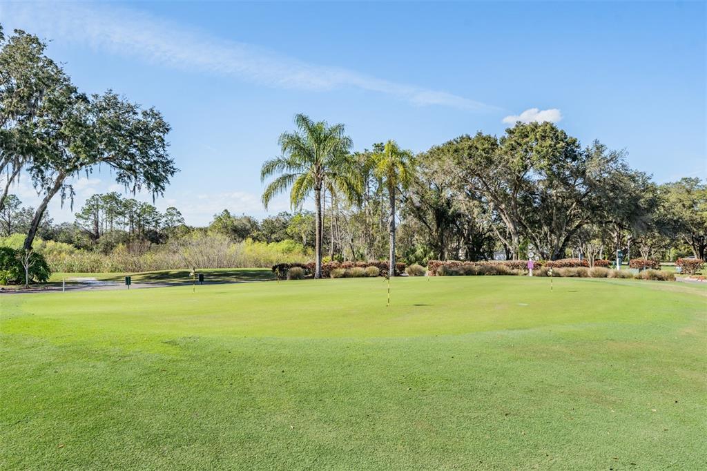 6105 Country Ridge Lane New Port Richey, FL 34655 - Photo 42 of 50 Gallery Image 42